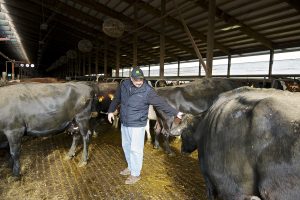 Caring for our animals is the most important thing we do.