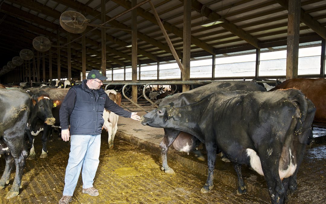 Pure, Safe, Wholesome Milk