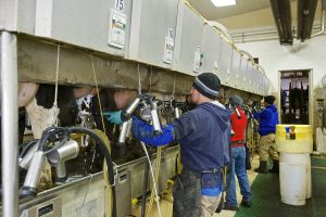 Keeping staff warm in the milking parlor is key.