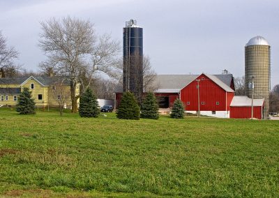 Manure: The Ultimate in Recycling