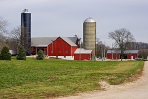 Our family's original farm is just across the road from one of our newer barns.