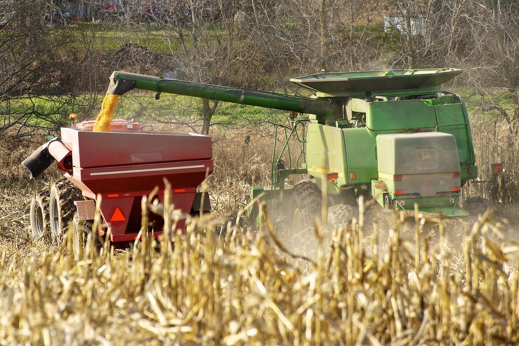 20121114_Farm_LVP3666