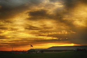 There's beauty around us every day at Majestic Crossing Dairy.