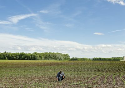 A Good Growing Summer