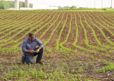 Farmers Practice Sustainability Every Day