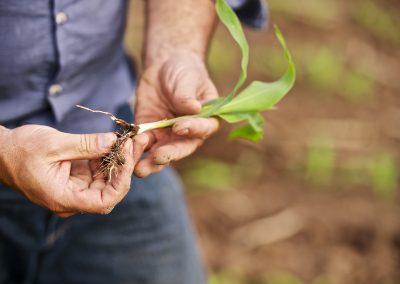 People on and off the farm
