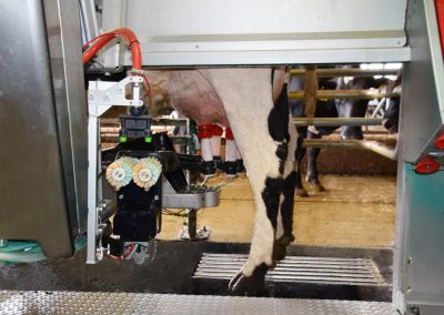 Robotic milkers: round two
