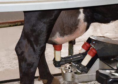 All of the robots are up and running!