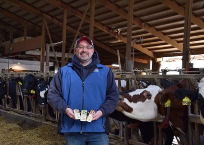 Dairy Creates 78,000 Jobs