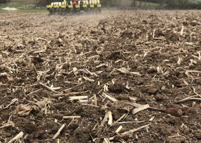 Taking A Closer Look At Our Soil