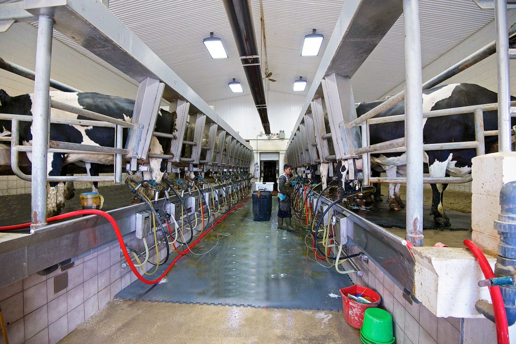 Majestic Crossing and Sartori Cheese A Match Made in (Dairy) Heaven