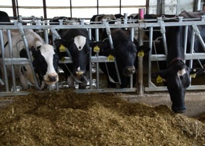 Building anything is a process