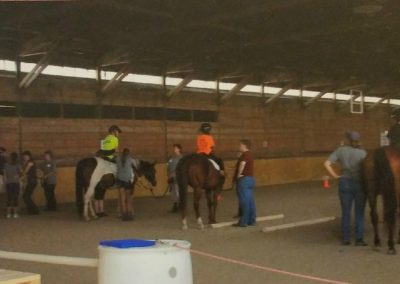 Another successful year for REINS