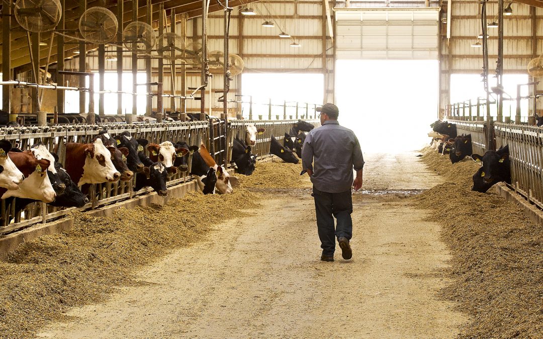 Leading the Conversation