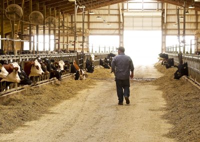 Leading the Conversation