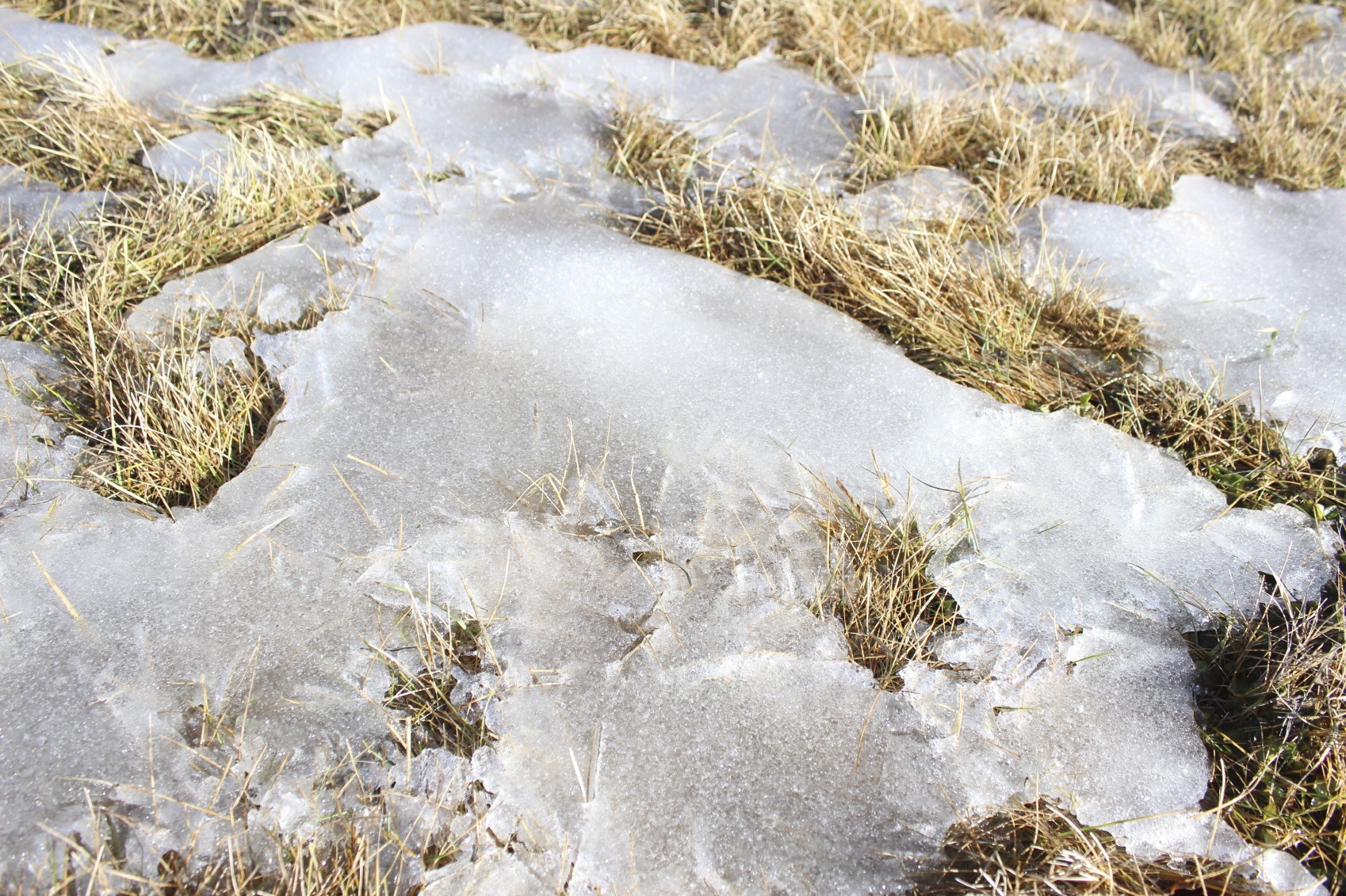 iStock_000087817125_Medium